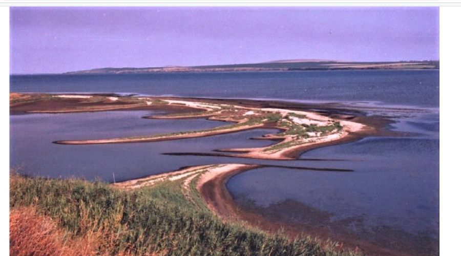  © Скриншот с сайта admkrai.krasnodar.ru