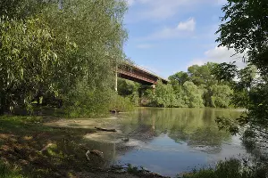 Краснодарский берег Пашковского затона неподалеку от моста &copy;&nbsp;Фото Марины Солошко, Юга.ру