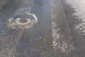  &copy;&nbsp;Скриншот из видео &laquo;Живой Кубани&raquo;