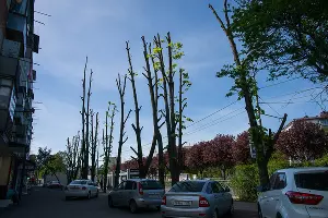  &copy;&nbsp;Фото Евгения Мельченко, Юга.ру