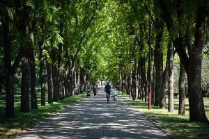  &copy;&nbsp;Фото Елены Синеок, Юга.ру