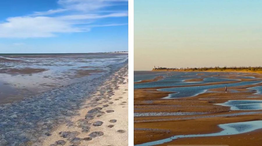  © Коллаж из скриншота видео телеграм-пользователя azirra и скриншота фото Андрея Волобуя