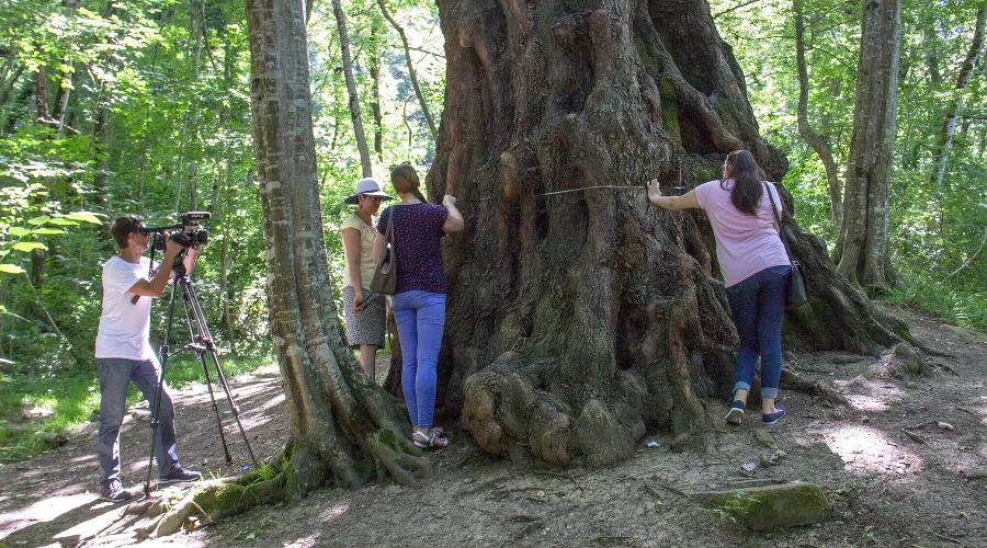  &copy;&nbsp;Фото пресс-службы Сочинского нацпарка