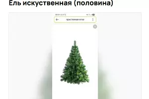  &copy;&nbsp;Скриншот с популярного сайта объявлений