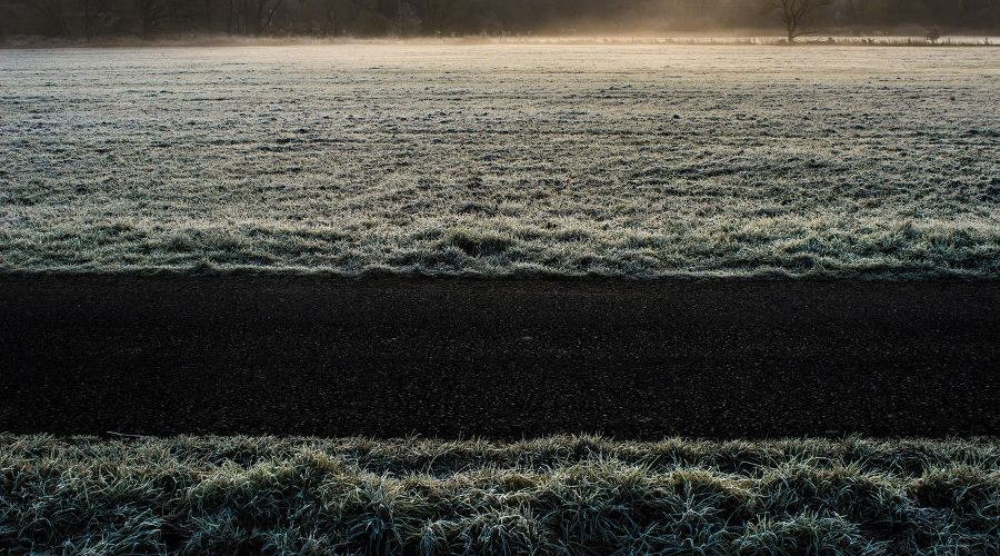 Заморозки © Фото с сайта unsplash.com