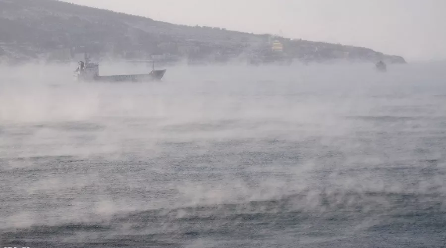  &copy;&nbsp;Фото Елены Синеок, Юга.ру