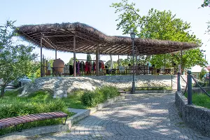 Этностенд у Тюльпанового дерева &copy;&nbsp;Фото Екатерины Штыбиной