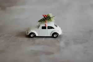  &copy;&nbsp;Фото Annie Spratt с сайта Unsplash.com