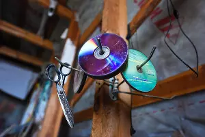  &copy;&nbsp;Елена Синеок, Юга.ру