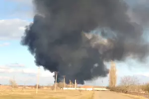  &copy;&nbsp;Скриншот видео из канала eco rupor, www.youtube.com/channel/UCG95WDFLLdVi4UHrlPhEGQw