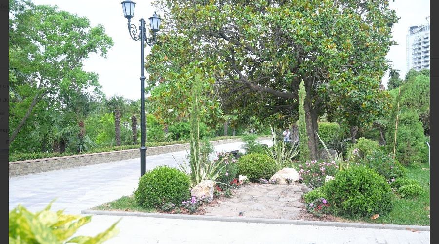 Участок Приморской набережной в Сочи © Скриншот фото из телеграм-канала «Сочи Официальный»