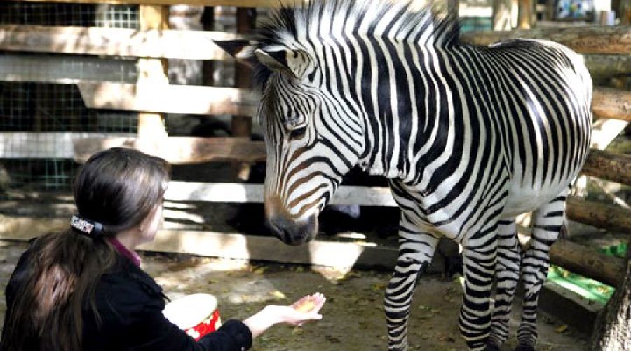  &copy;&nbsp;фото с сайта news.1777.ru