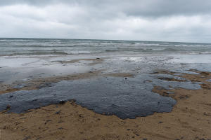  &copy;&nbsp;Фото Полины Безверхой, Юга.ру