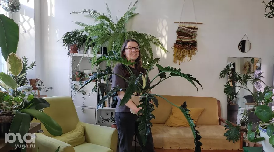 Светлана Трунова в краснодарской растенишной «Ботанка» &copy;&nbsp;Фото Иолины Грибковой, Юга.ру