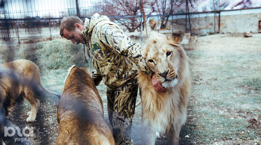 Парк львов "Тайган" в Крыму  © Денис Яковлев, ЮГА.ру