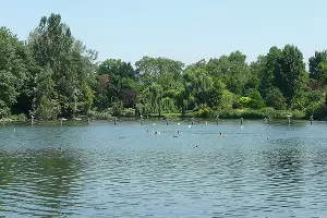 Риджентс-парк, Лондон &copy;&nbsp;Фото с сайта commons.wikimedia.org