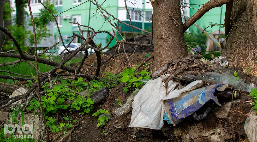  &copy;&nbsp;Фото Александра Гончаренко, Юга.ру