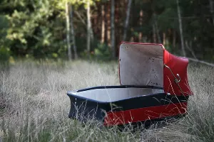  &copy;&nbsp;Фото Mirekis, pixabay.com