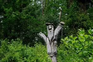 По дороге к визит-центру Тисо-самшитовой рощи &copy;&nbsp;Фото Марины Солошко, Юга.ру