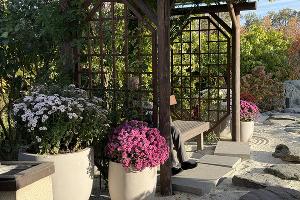 Садовые коридоры Цубонива кайр © Фото Марины Солошко, Юга.ру