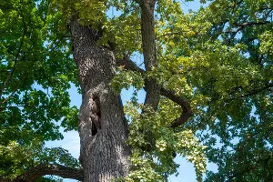 &copy;&nbsp;Фото Дмитрия Пославского, Юга.ру