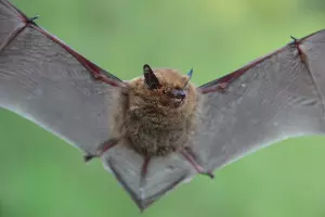  &copy;&nbsp;Фото пресс-службы заповедника &laquo;Утриш&raquo;