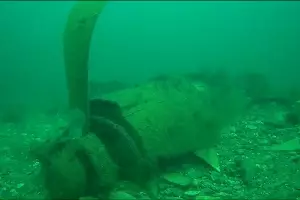  &copy;&nbsp;Скриншот из видео краснодарского отделения РГО