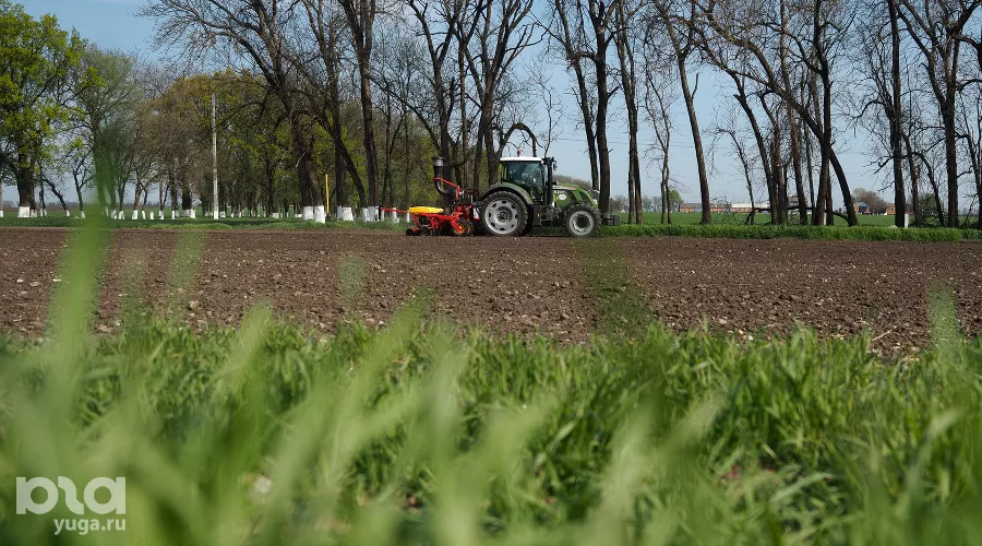  &copy;&nbsp;Фото Виталия Тимкива, Юга.ру