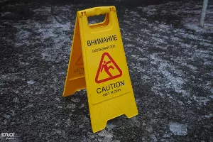  &copy;&nbsp;Фото Елены Синеок, Юга.ру