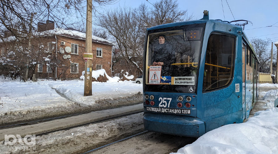  © Фото Александры Прохоренковой-Аксеновой, Юга.ру