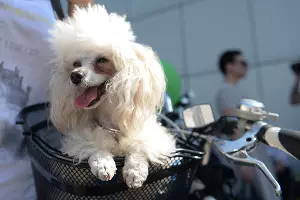  &copy;&nbsp;Фото Михаила Ступина, Юга.ру