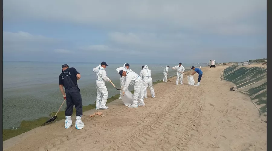  &copy;&nbsp;Скриншот фото из телеграм-канала &laquo;Оперативный штаб - Краснодарский край&raquo;