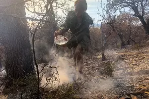 Пожар в заповеднике «Утриш» &copy;&nbsp;Фото Марии Сотсковой