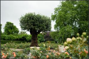  &copy;&nbsp;Скриншот из телеграмм-канала федеральной территории Сириус https://t.me/siriusfederal/4152