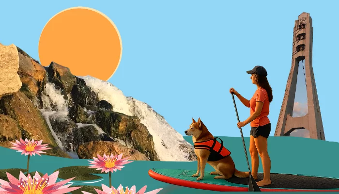  &copy;&nbsp;Коллаж Дмитрия Пославского, Юга.ру