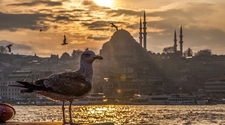 Стамбул © Фото с сайта pixabay.com