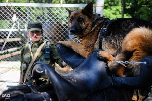  © Нина Зотина, ЮГА.ру