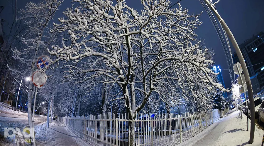  &copy;&nbsp;Фото Михаила Ступина, Юга.ру