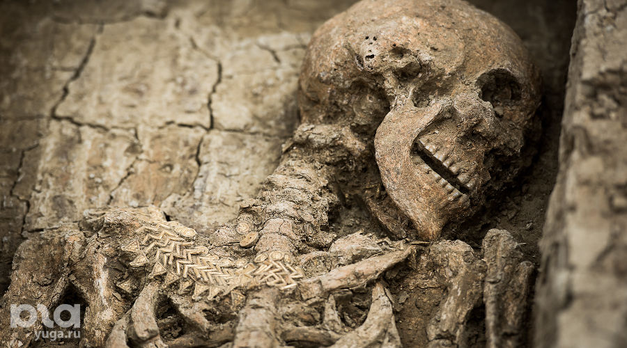  &copy;&nbsp;Фото Елены Синеок, Юга.ру