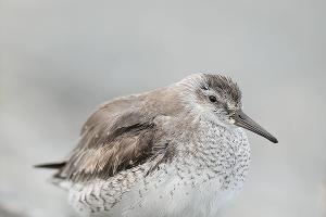  © facebook.com/alexshkolny