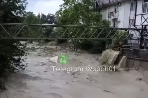  &copy;&nbsp;Кадр из видео t.me/soch01
