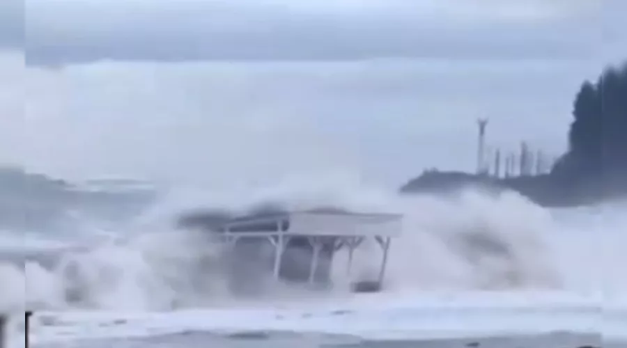  &copy;&nbsp;Скриншот видео из телеграм-канала &laquo;Типичный Сочи&raquo;, t.me/sochitypical