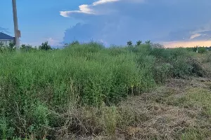  &copy;&nbsp;Фото Эльвиры Борискиной, предоставлено Юга.ру