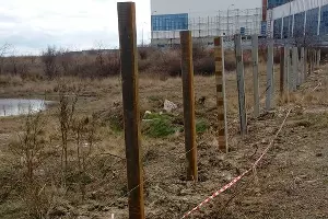 Комиссия обследует территорию в районе Прилагунья &copy;&nbsp;Фото Татьяны Трибрат