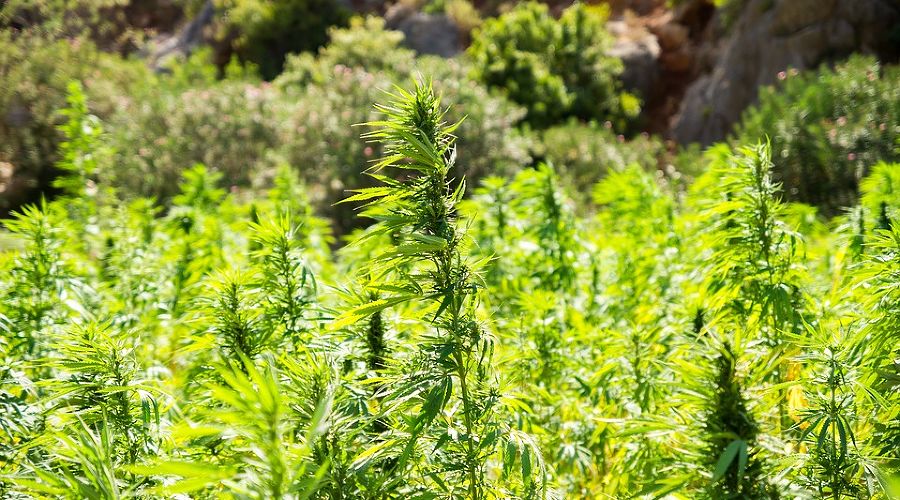  © Фото с сайта pixabay.com