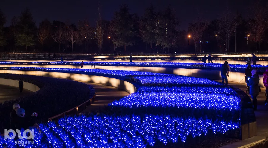 Парк «Краснодар»  с новогодней подсветкой &copy;&nbsp;Фото Елены Синеок, Юга.ру