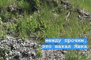  &copy;&nbsp;Фото со страницы nstagram.com/gazprom_resort