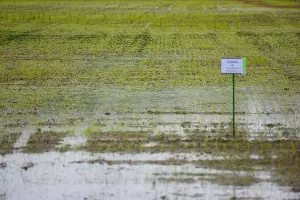  &copy;&nbsp;Фото Елены Синеок, Юга.ру