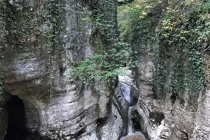  &copy;&nbsp;Фото Сочинского нацпарка