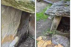  &copy;&nbsp;Скриншот из телеграм-канала эколога Евгения Витишко https://t.me/vitishko/18680